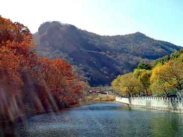 澳门今晚一肖必中特，力狮旅行版